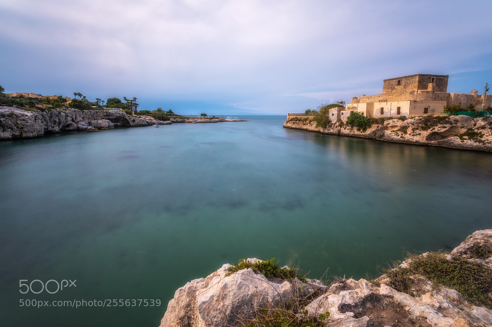 Canon EOS 5D Mark IV sample photo. Brucoli fiordo photography
