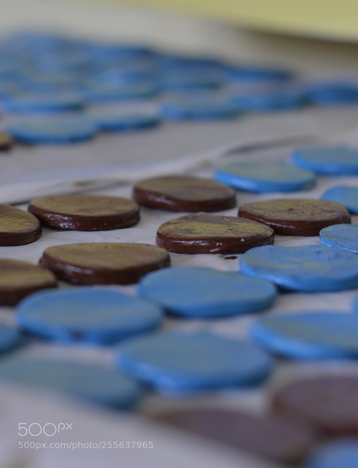 Nikon D800 sample photo. For tic tac toe photography