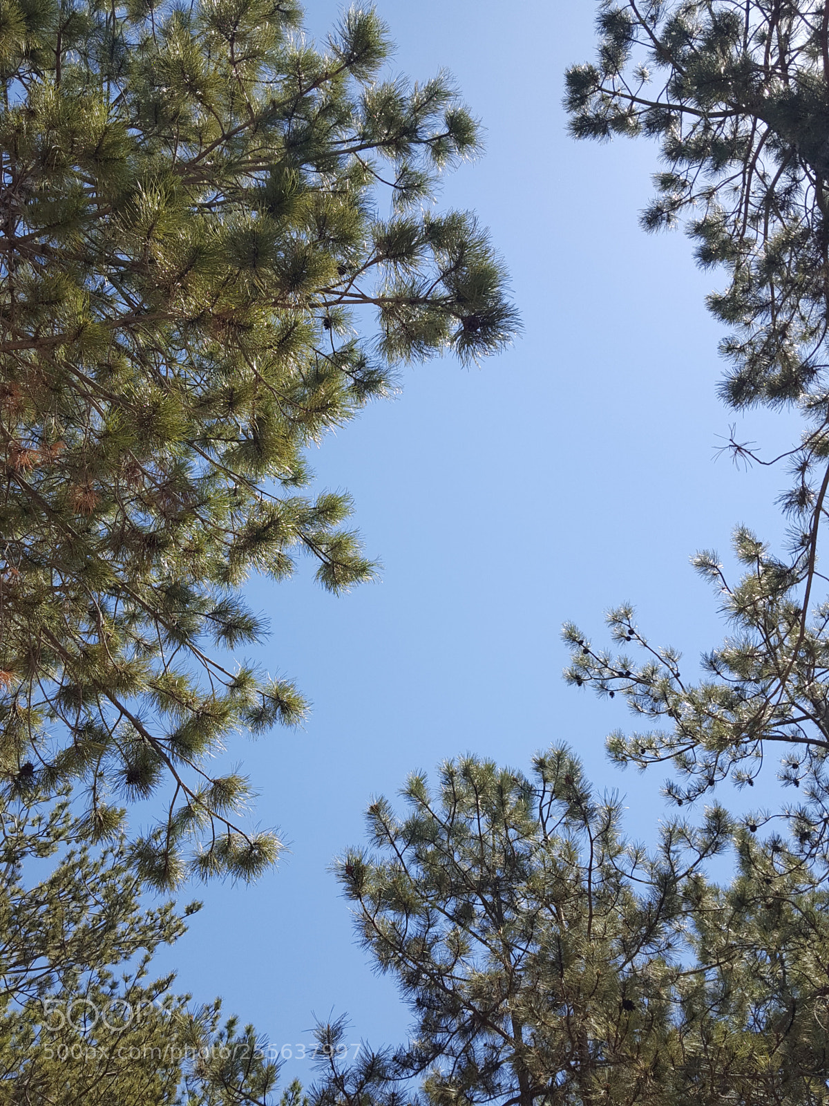 Samsung GALAXY S6 edge sample photo. Untitled photography