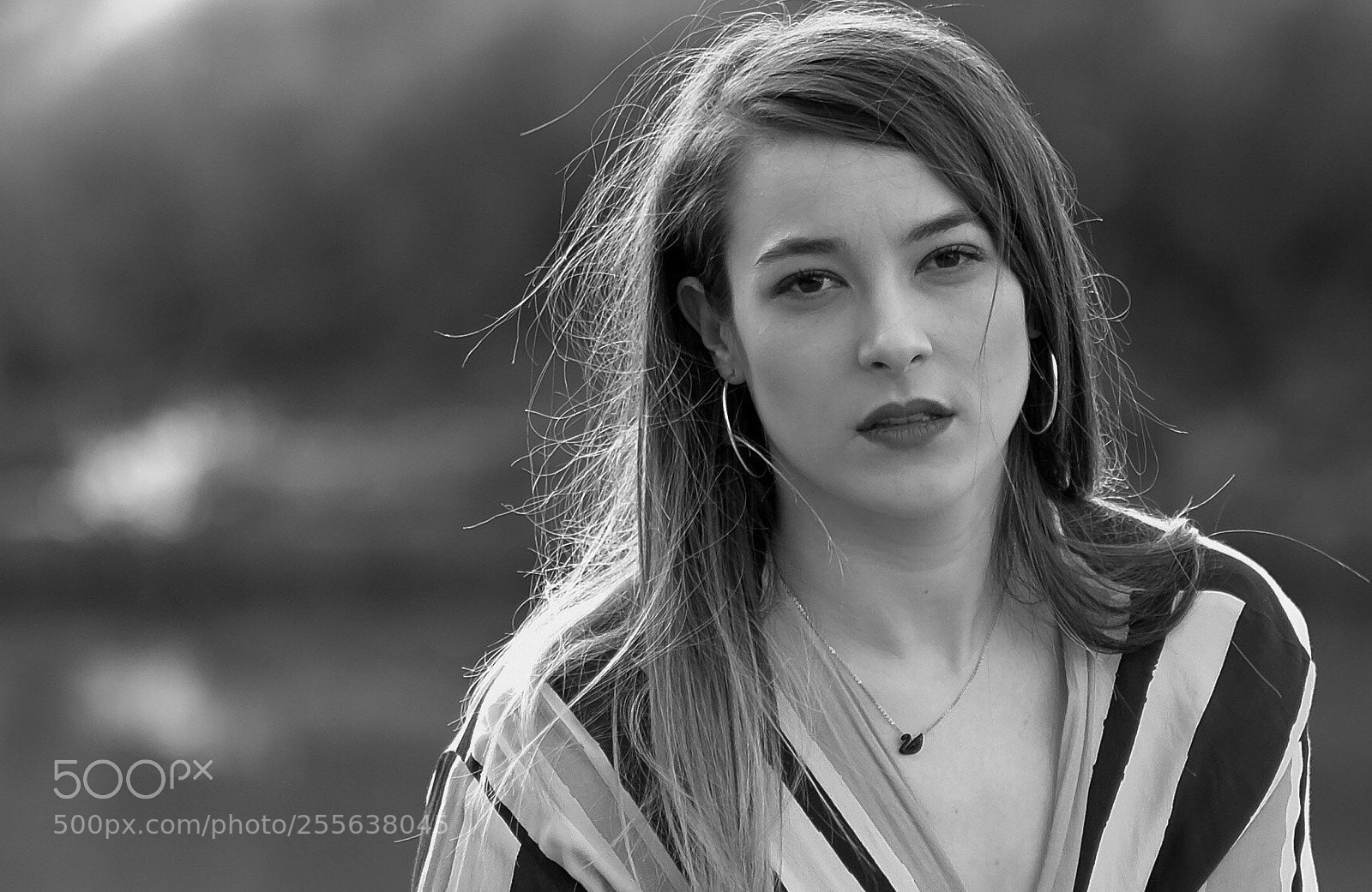 Fujifilm X-T2 sample photo. Untitled photography