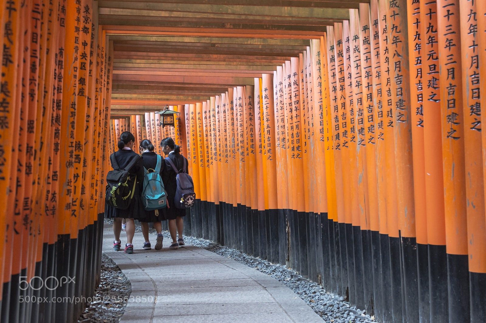 Nikon D7100 sample photo. Fushimi inari-taisha photography