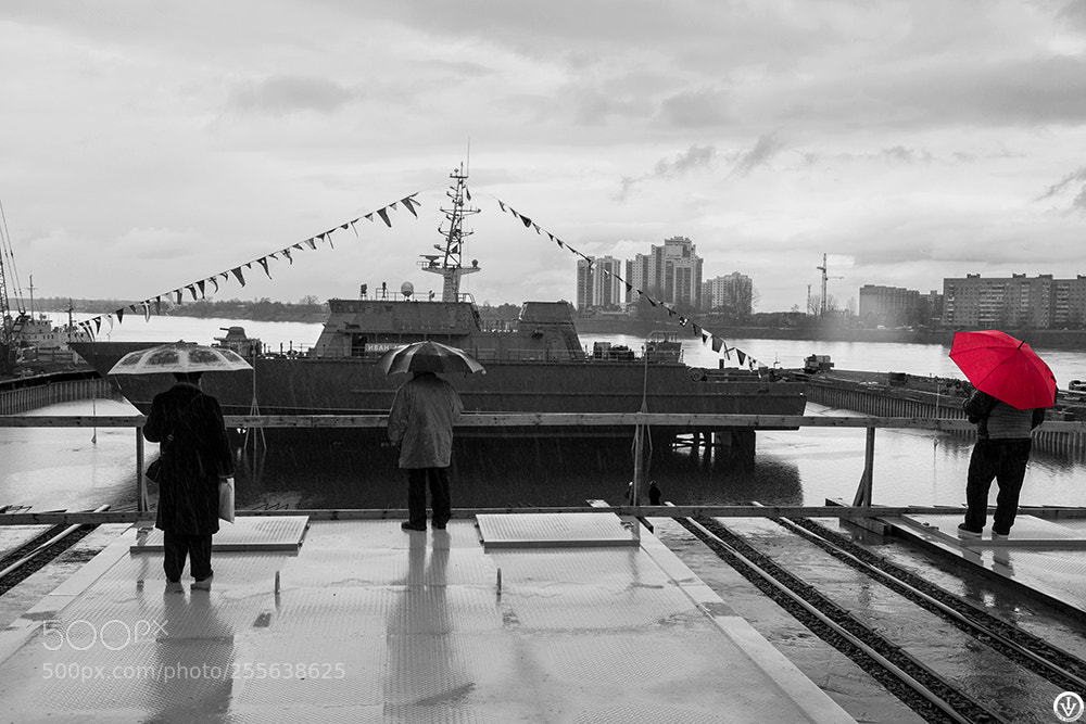 Sony SLT-A65 (SLT-A65V) sample photo. In the rain photography
