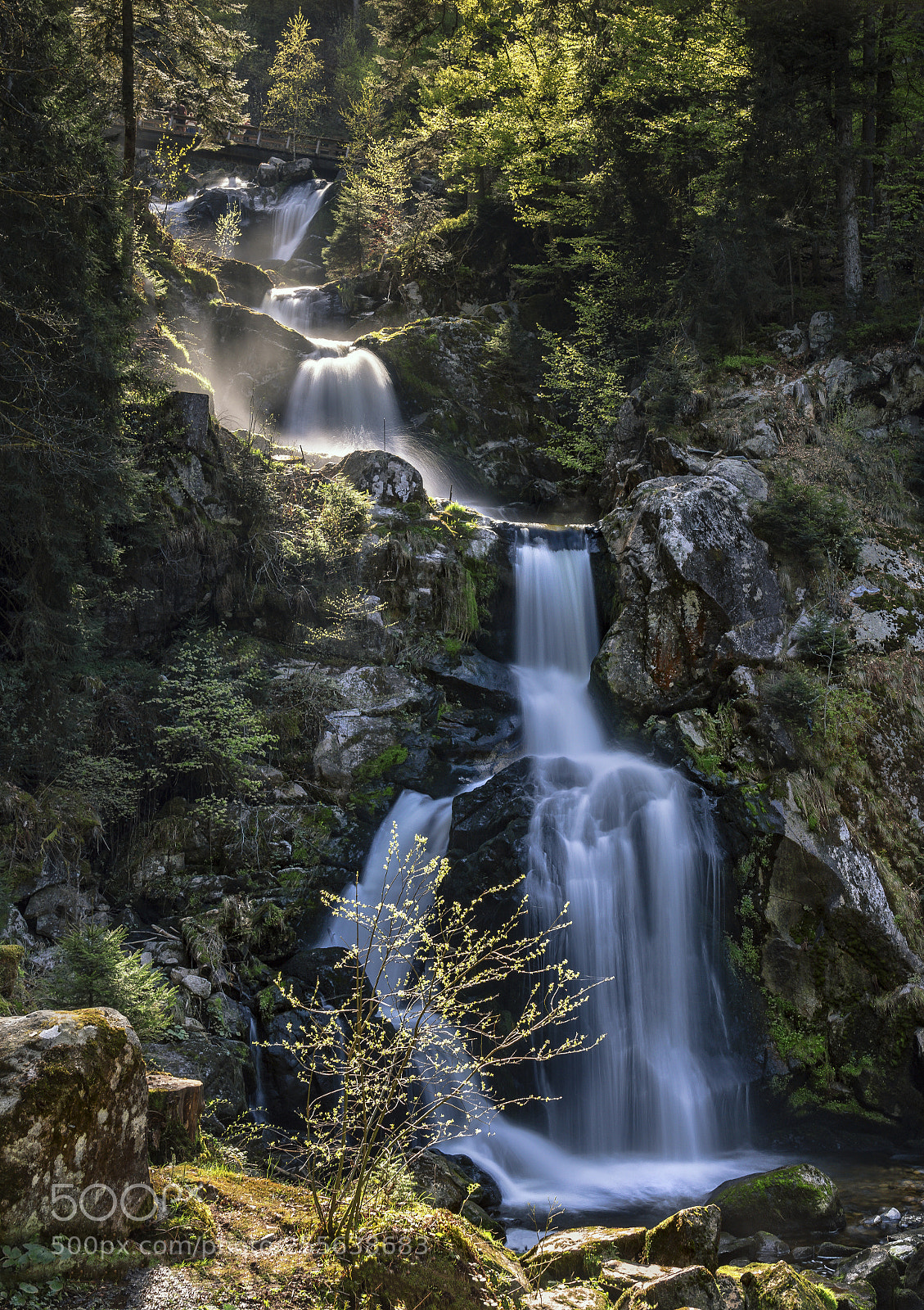 Sony a7R II sample photo. Triberger wasserfälle photography