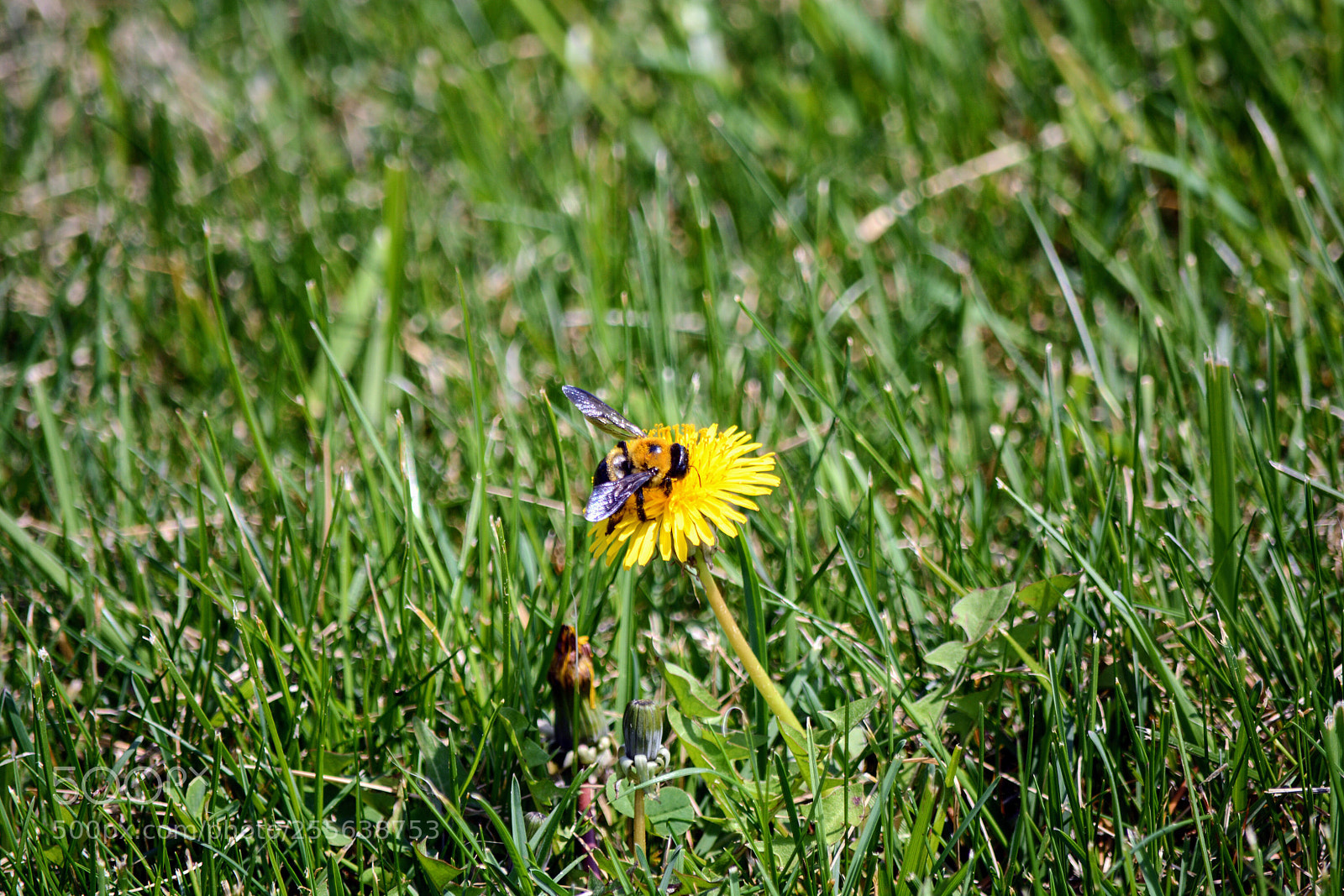 Nikon D7100 sample photo. Untitled photography