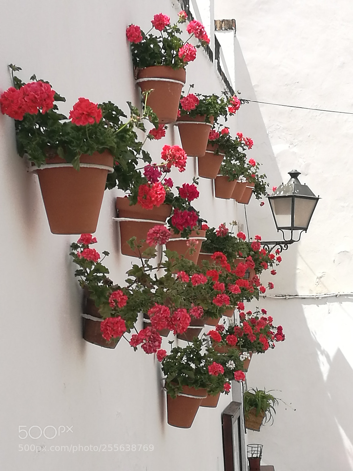 HUAWEI P9 sample photo. Wonderfull andalucia photography