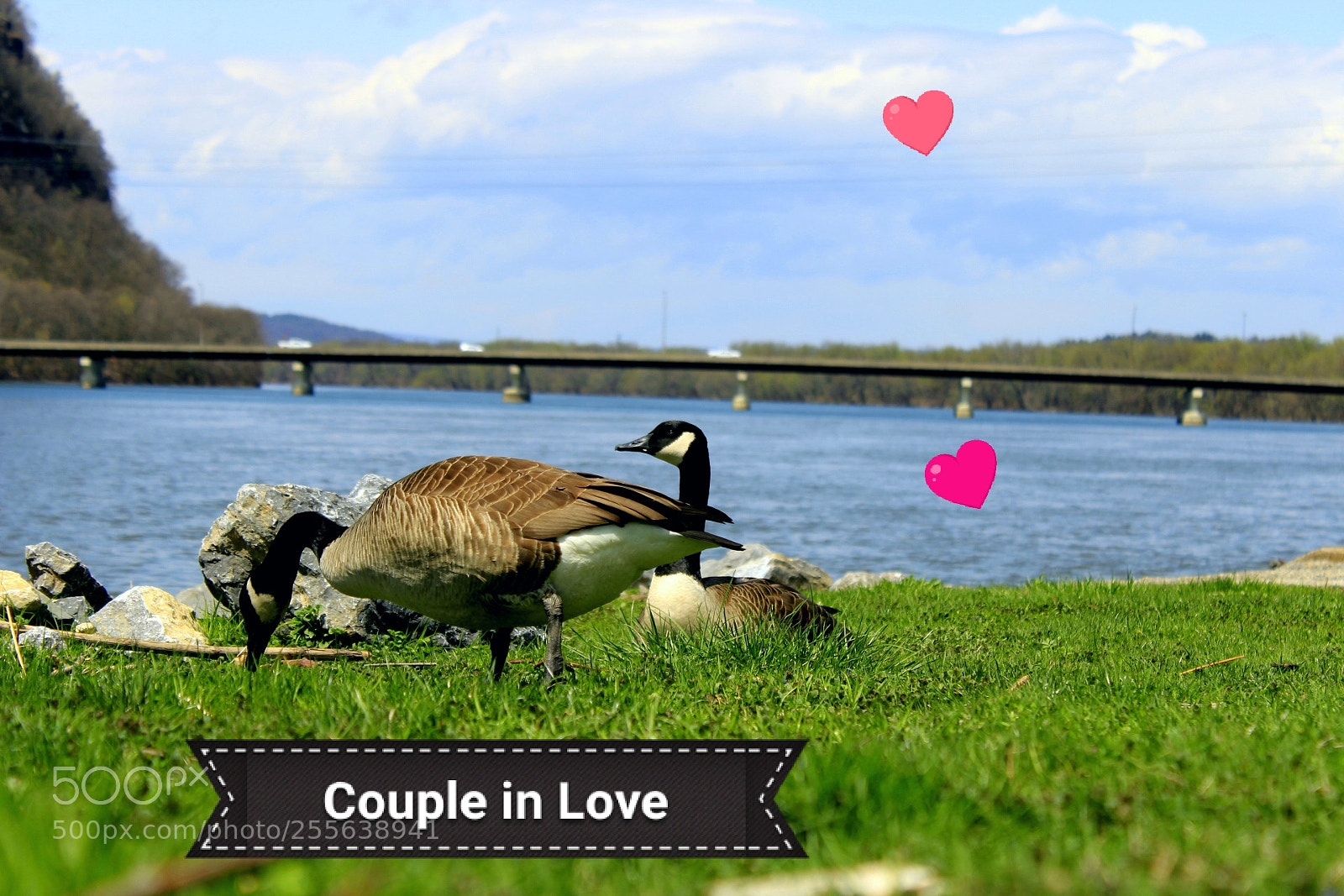 Canon EOS 1300D (EOS Rebel T6 / EOS Kiss X80) sample photo. A couple in love photography