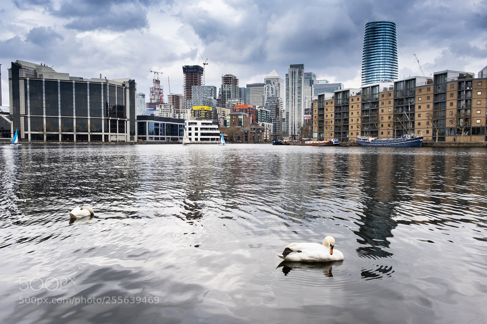 Fujifilm X-T20 sample photo. Swan in finance photography