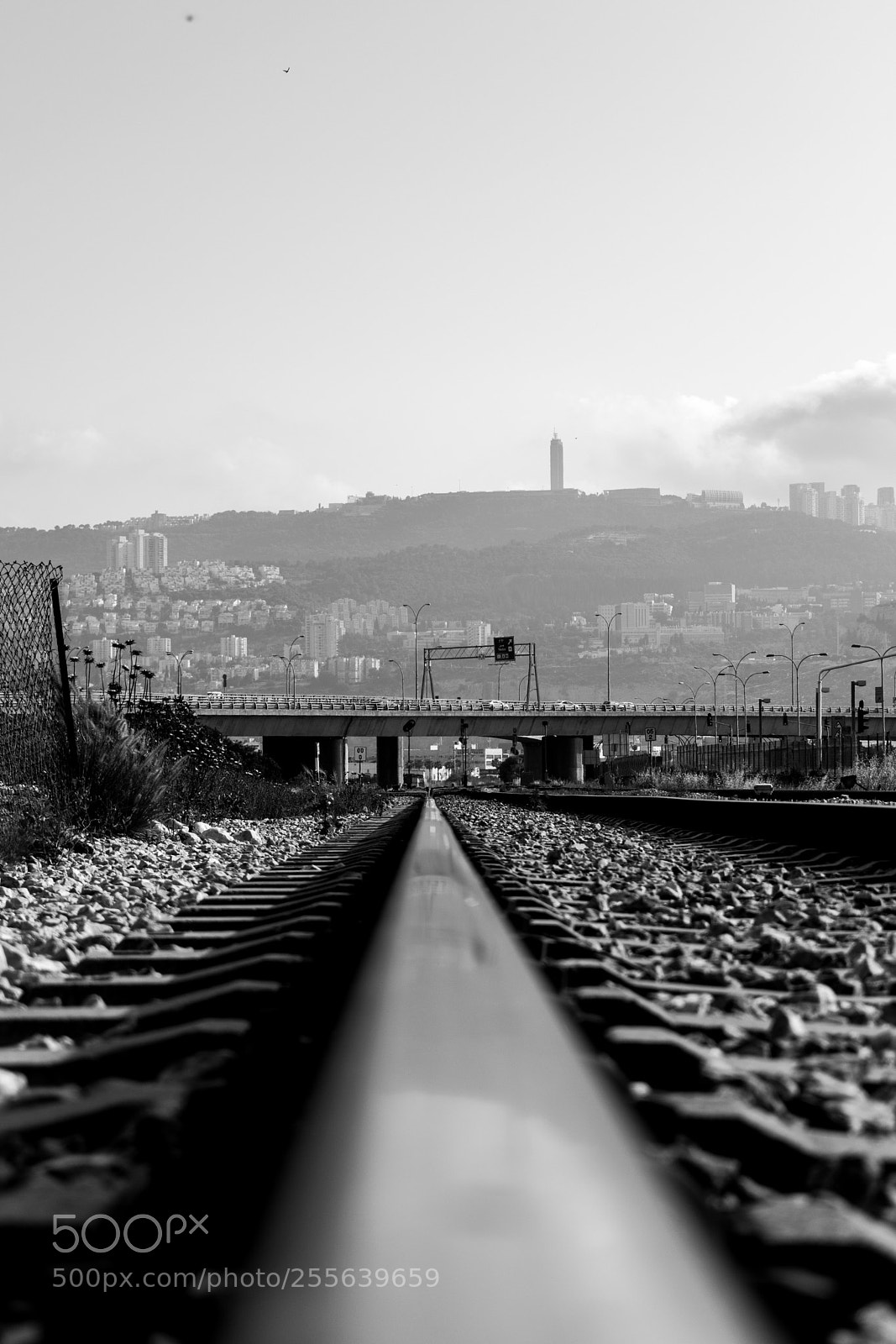 Nikon D5300 sample photo. Train rails photography