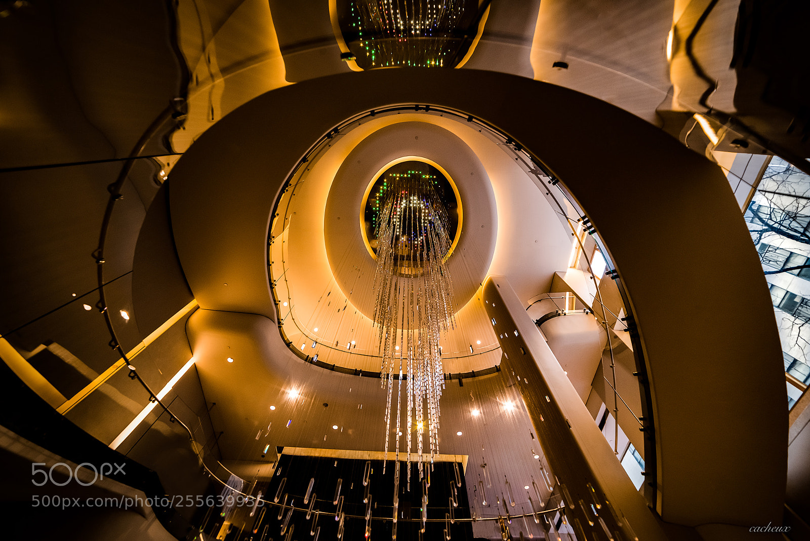 Nikon D810 sample photo. Top of the rock photography