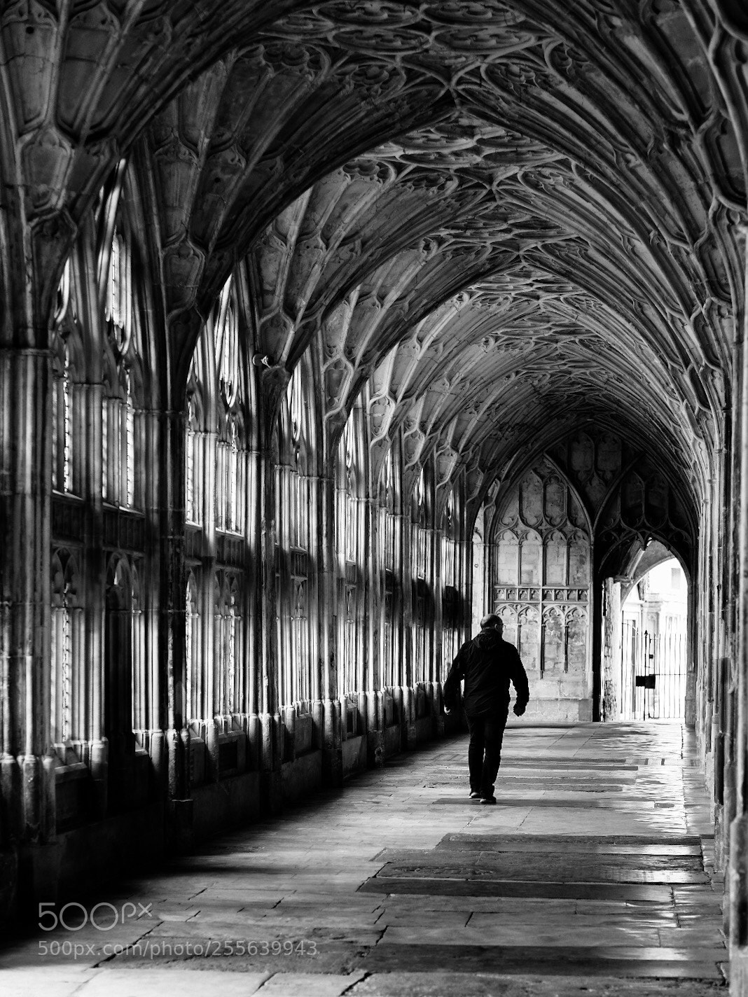 Fujifilm X-T20 sample photo. Cloisters  photography