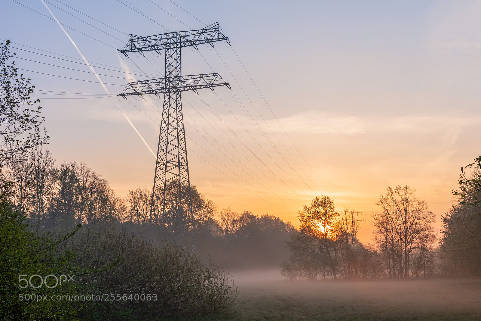 Canon EOS 5D Mark IV sample photo. Light & energy photography