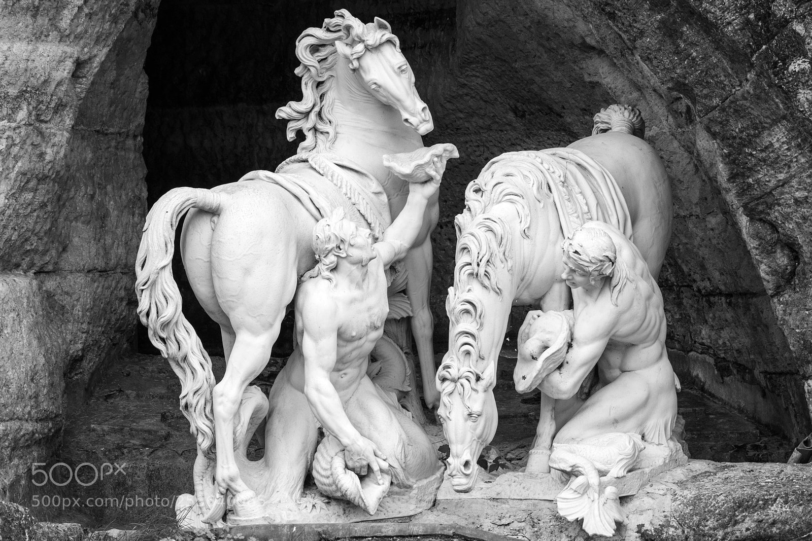 Nikon D500 sample photo. Chevaux du soleil photography
