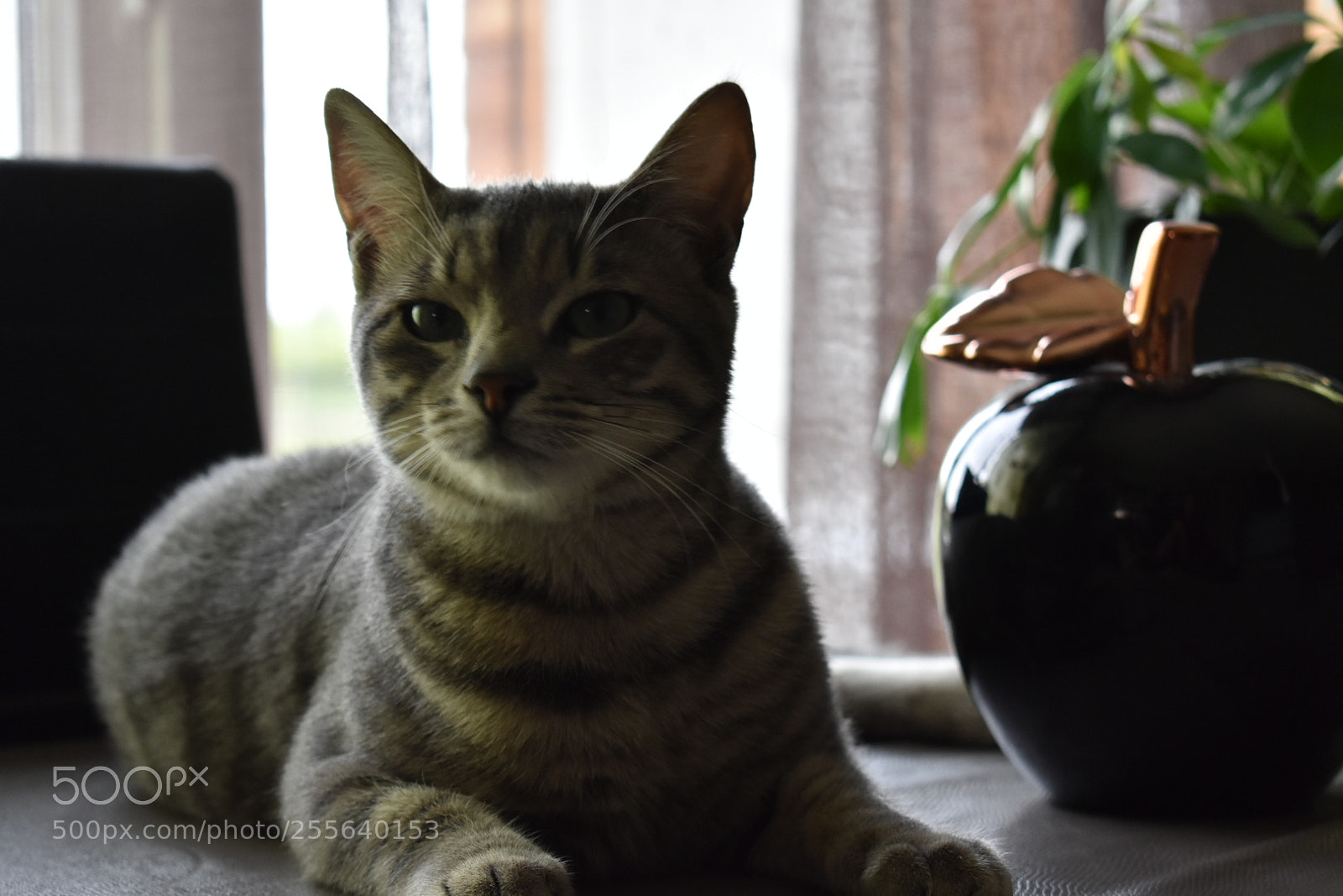 Nikon D3400 sample photo. Zenitude photography