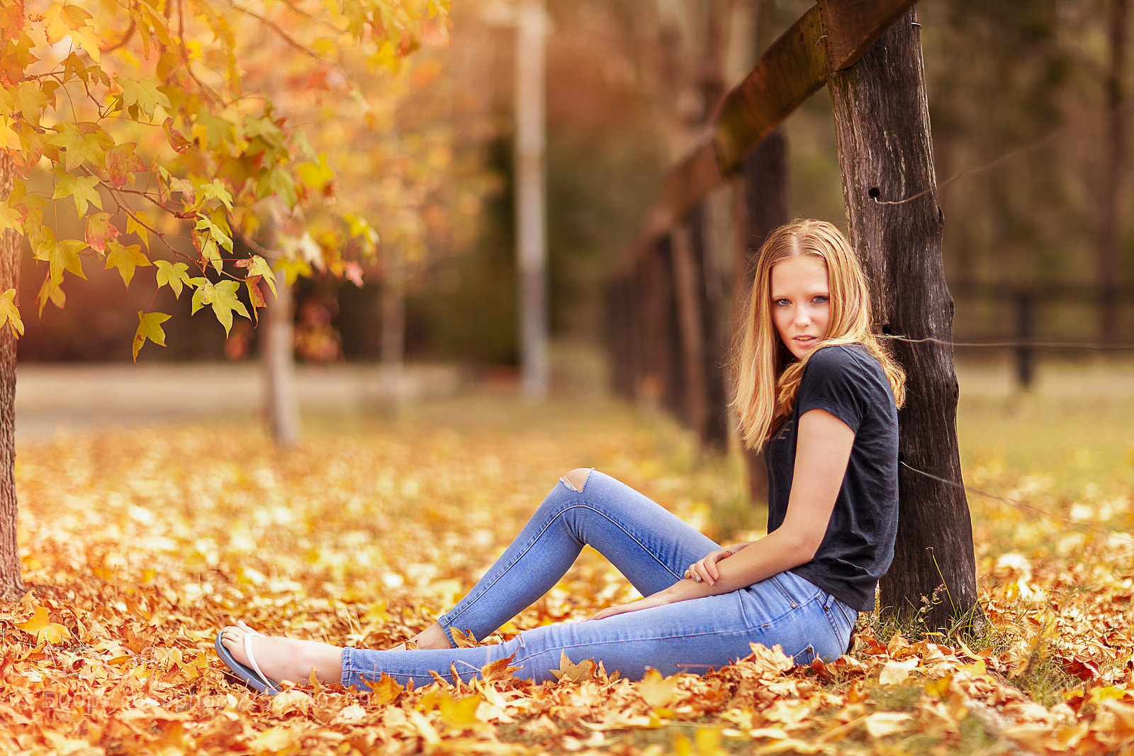 Canon EOS 5D Mark II sample photo. Jordanna photography