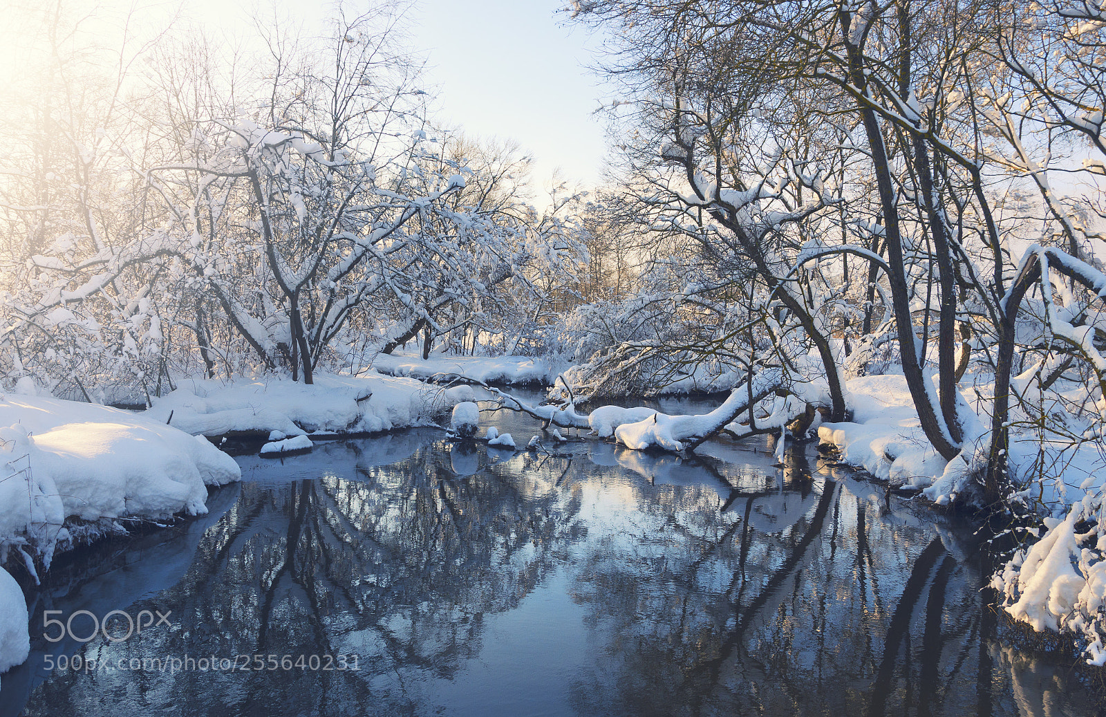 Nikon D5100 sample photo. Winter dreams photography