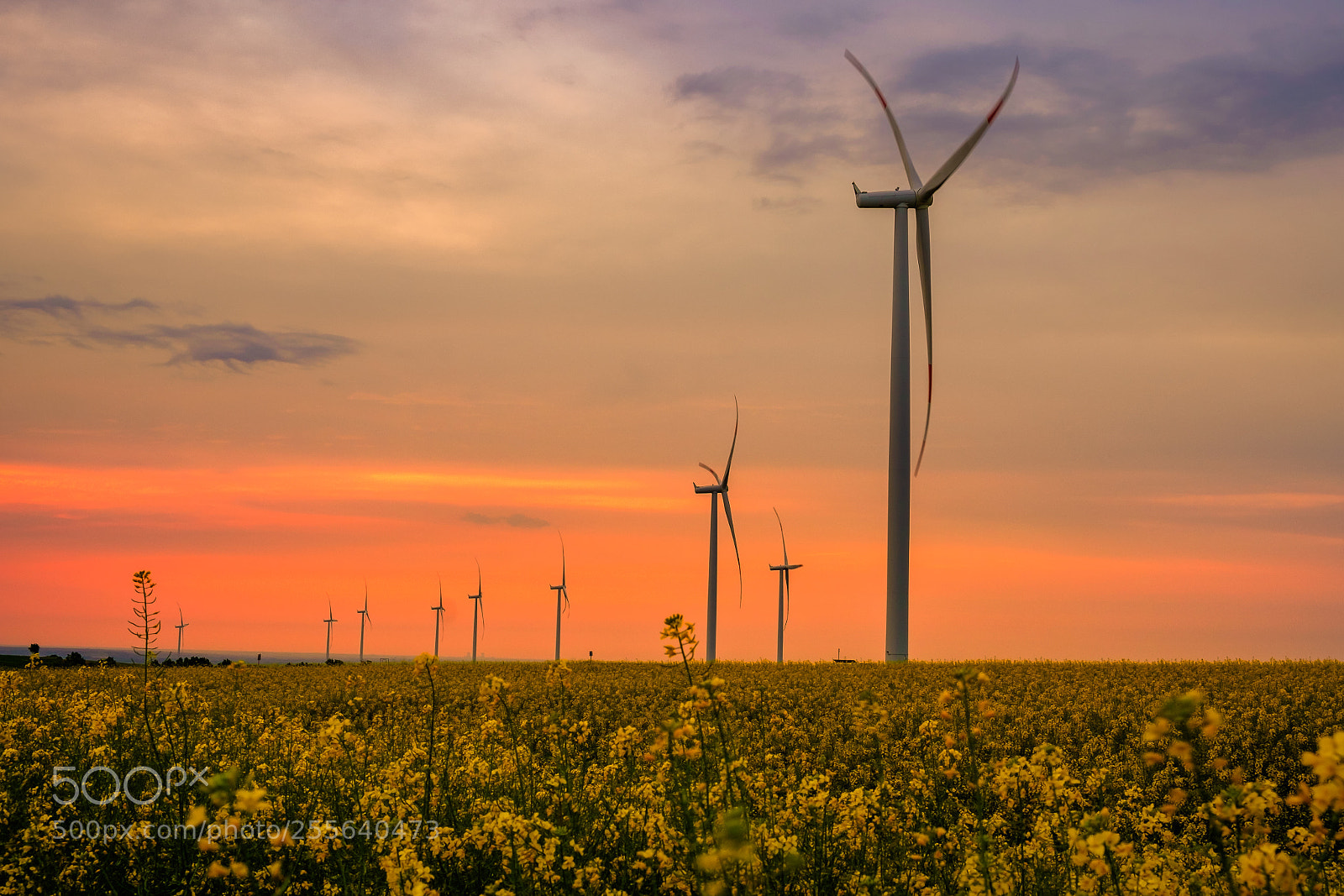 Fujifilm X-T10 sample photo. Windmill on fields photography