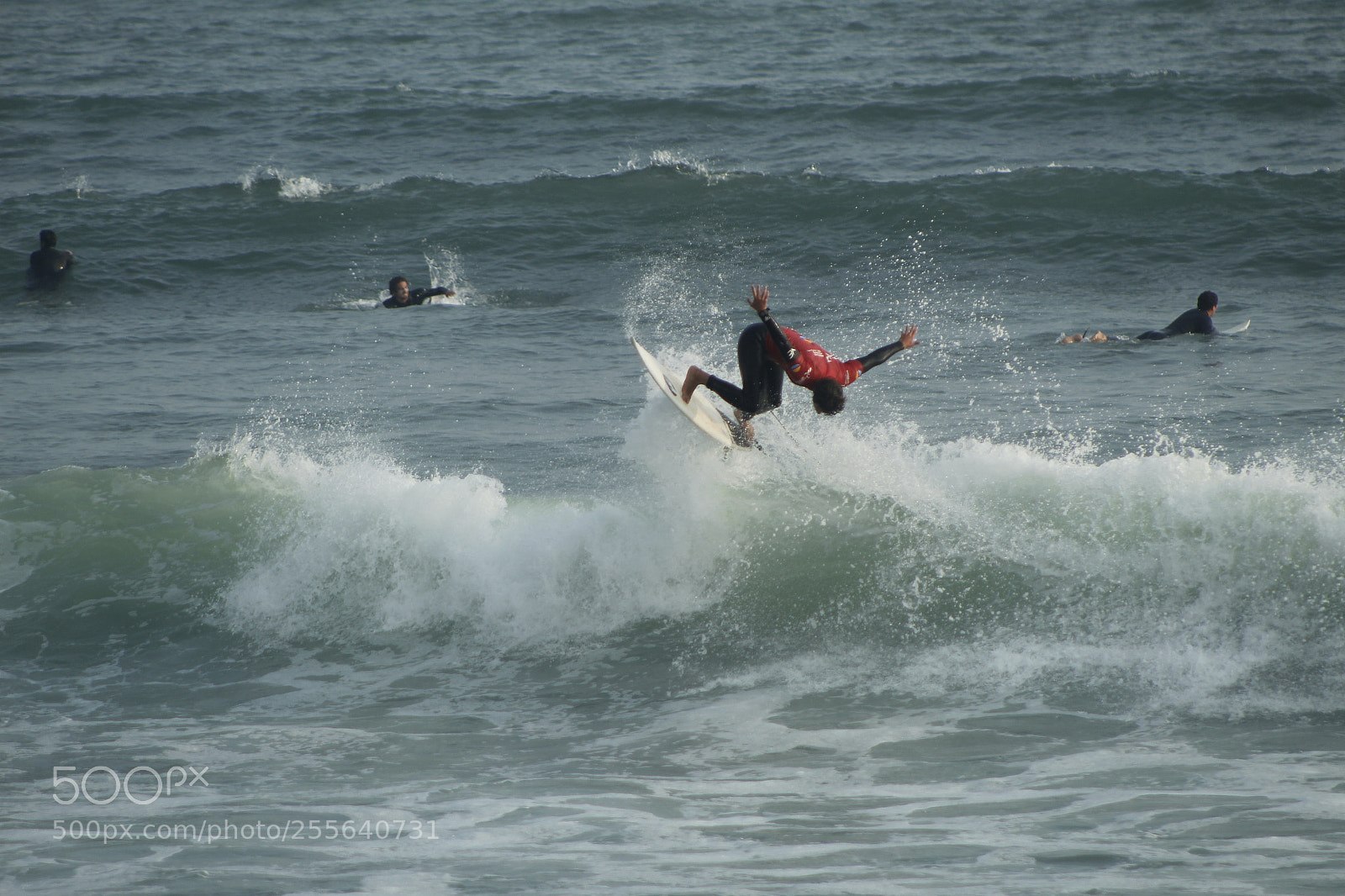Canon EF 75-300mm f/4-5.6 sample photo. Mg photography