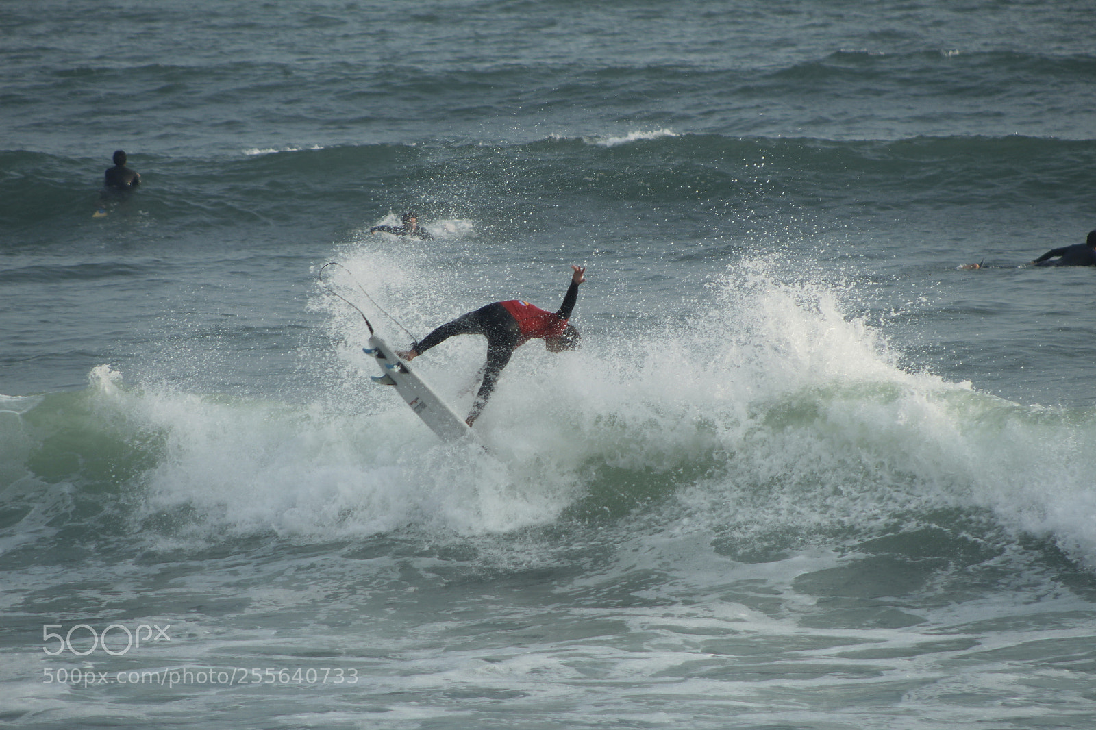 Canon EF 75-300mm f/4-5.6 sample photo. Mg photography