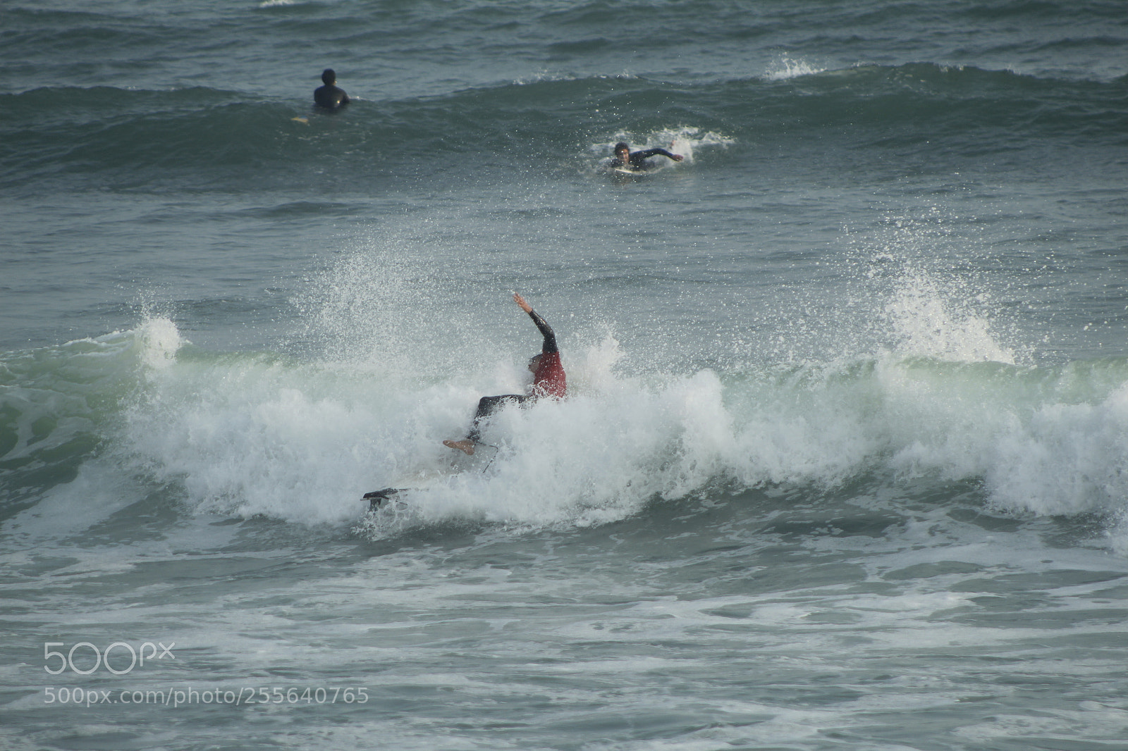 Canon EF 75-300mm f/4-5.6 sample photo. Mg photography