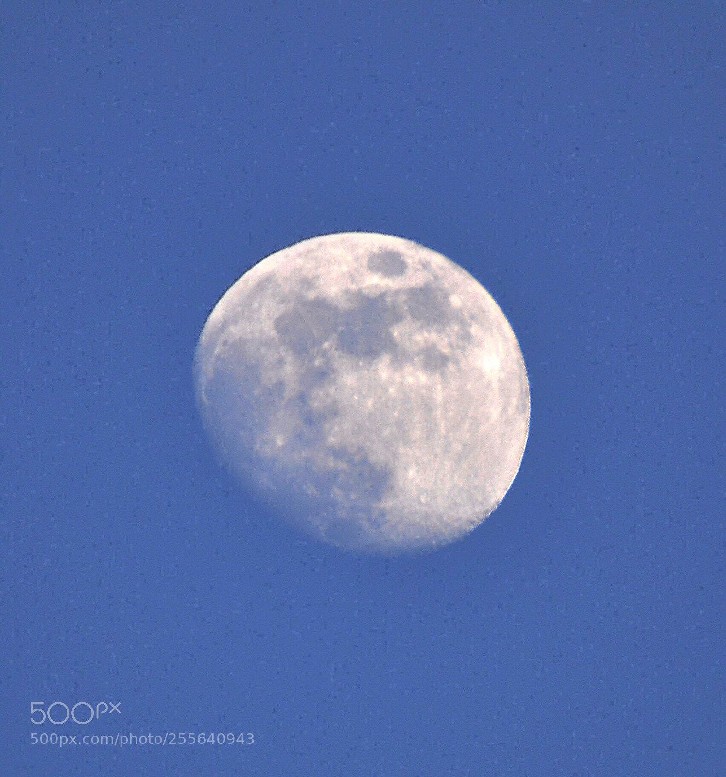 Nikon D90 sample photo. Moonlight  photography