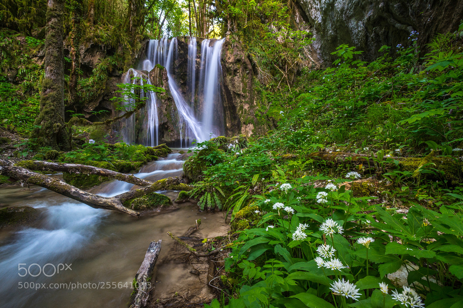 Nikon D7100 sample photo. Vercors photography