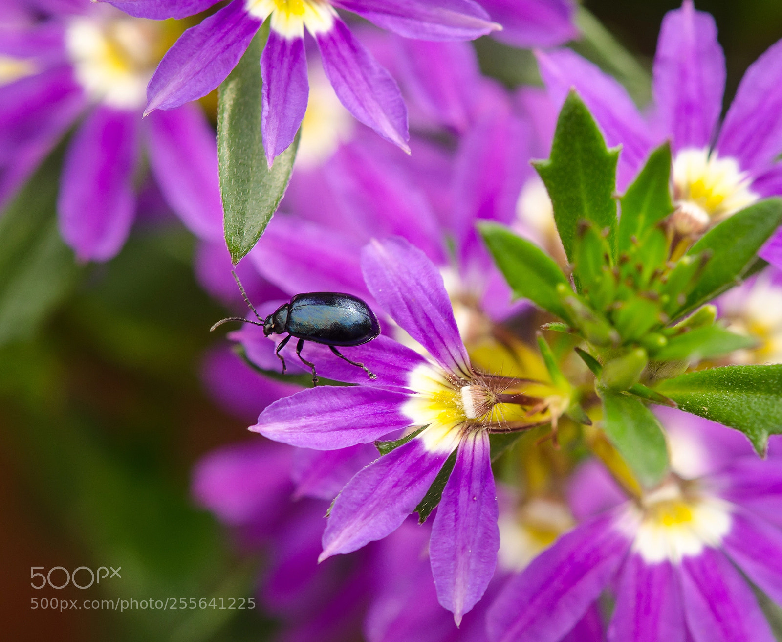 Nikon D5100 sample photo. _...-0278.jpg photography