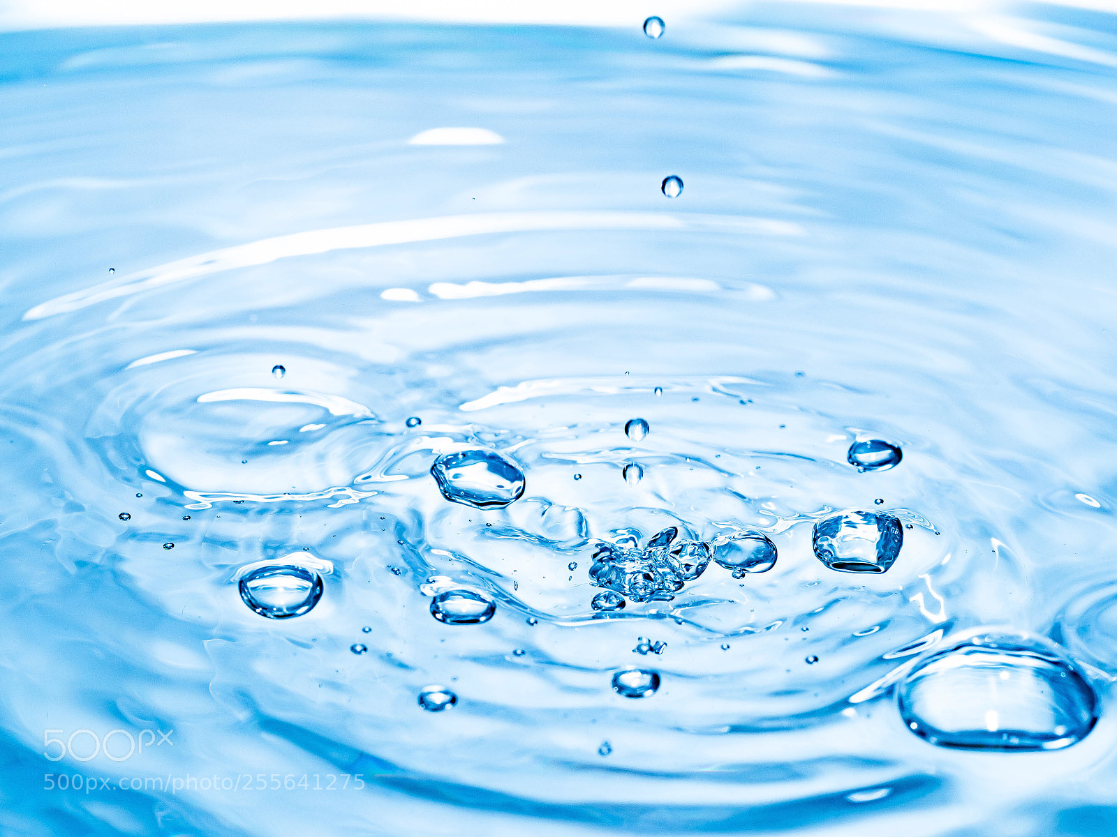 Olympus OM-D E-M1 Mark II sample photo. Drop of water photography