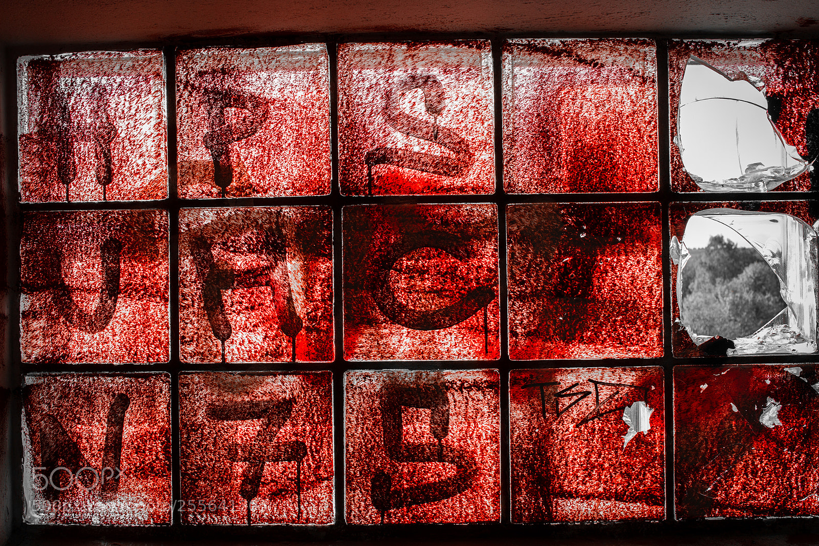 Canon EOS 70D sample photo. Window photography