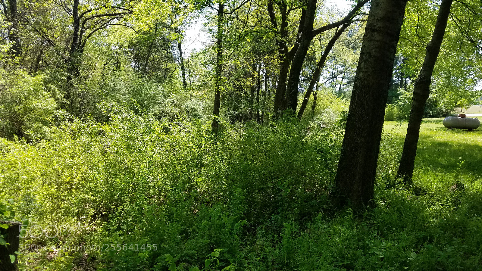 Samsung Galaxy S7 sample photo. Untitled photography