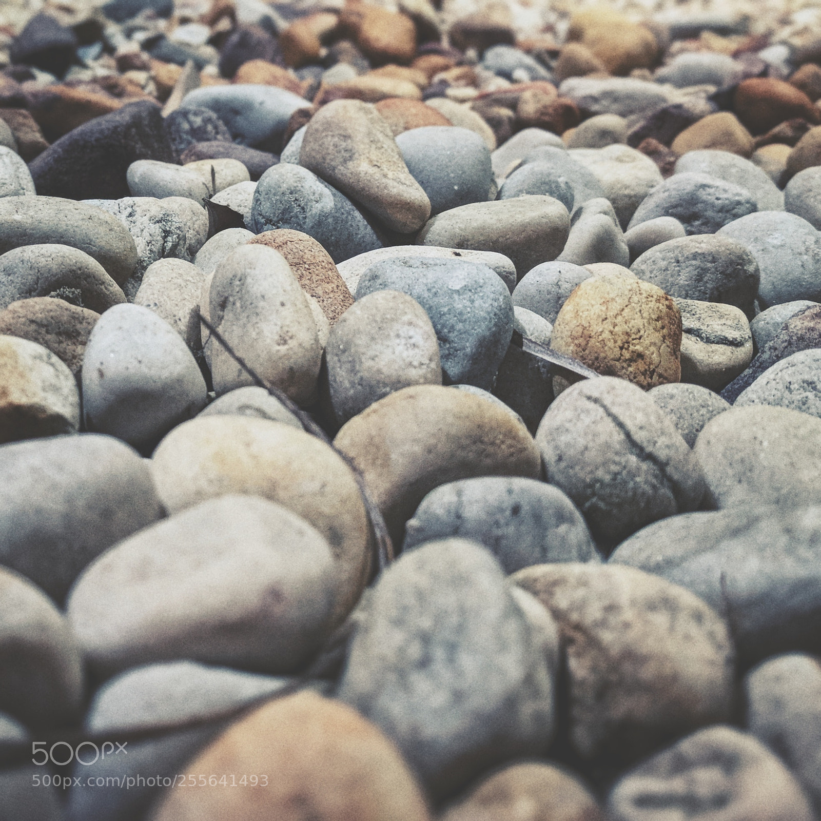 Google Nexus 6P sample photo. Rocky photography
