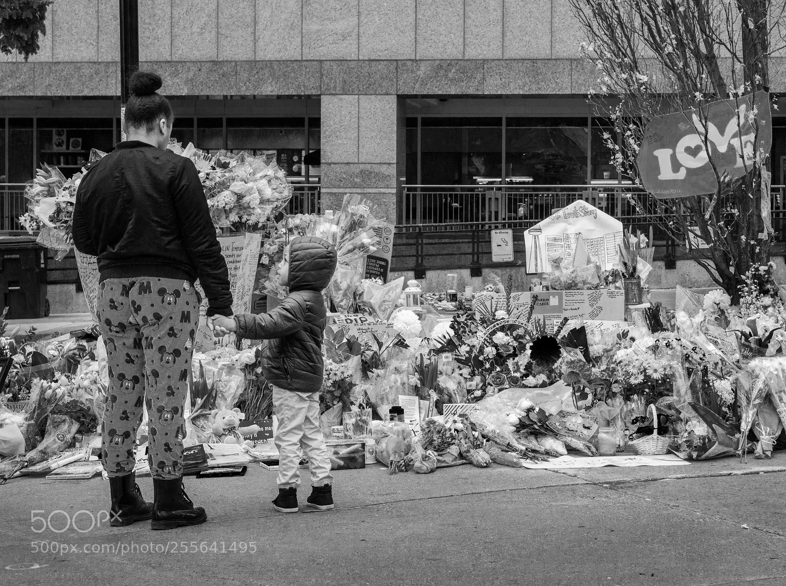 Nikon D800E sample photo. Toronto strong 2 photography