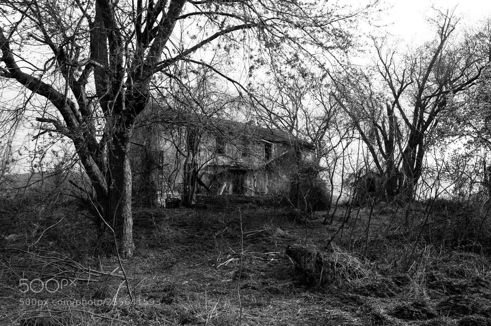 Nikon D3200 sample photo. The old farm photography