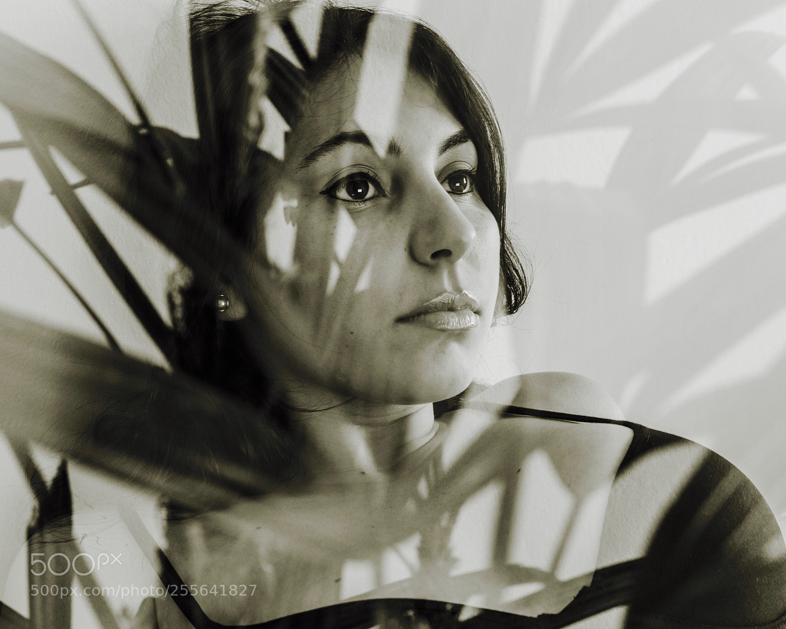 Nikon D3200 sample photo. "she steinert" photography