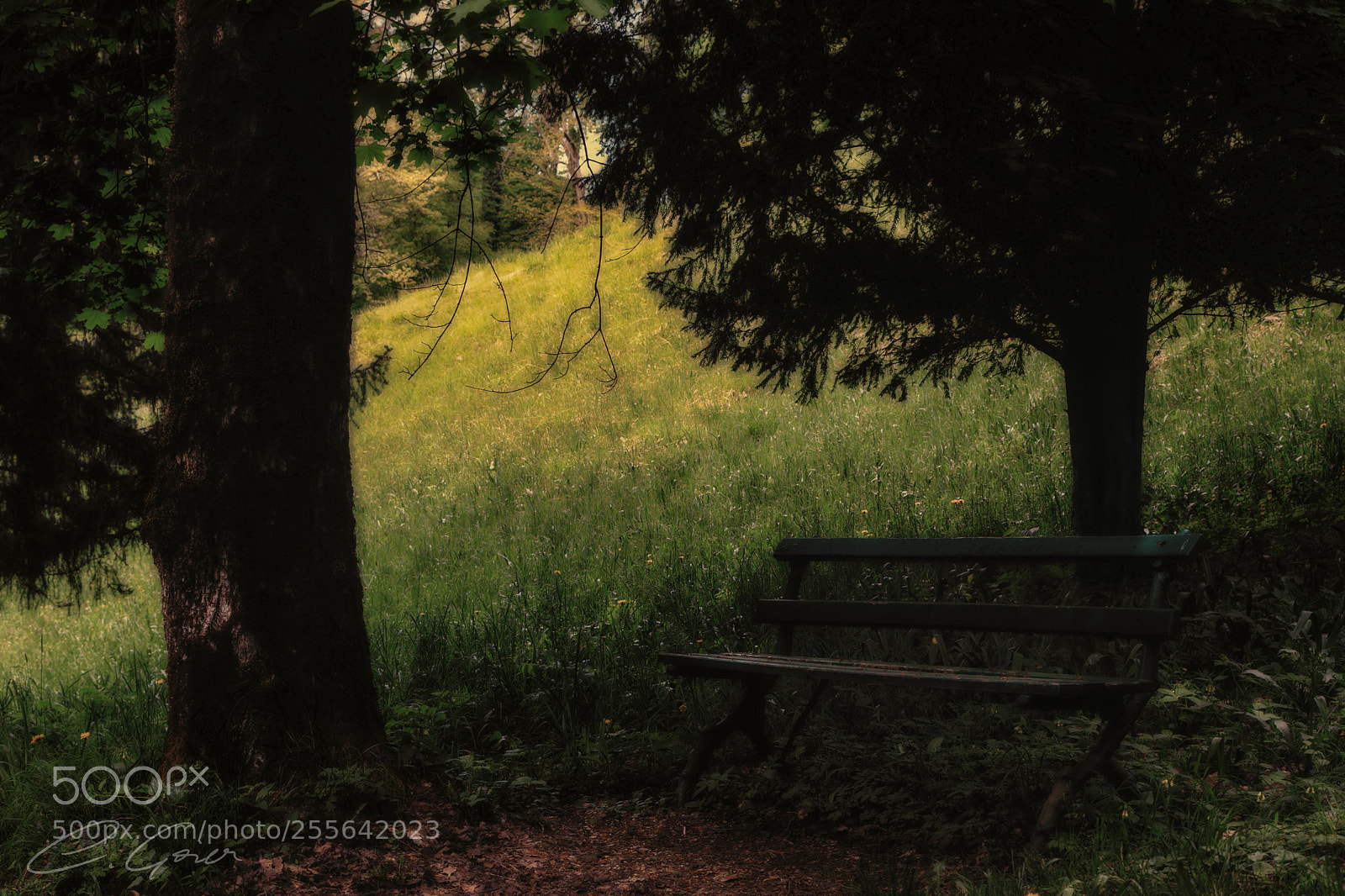 Canon EOS 77D (EOS 9000D / EOS 770D) sample photo. Quiet place photography