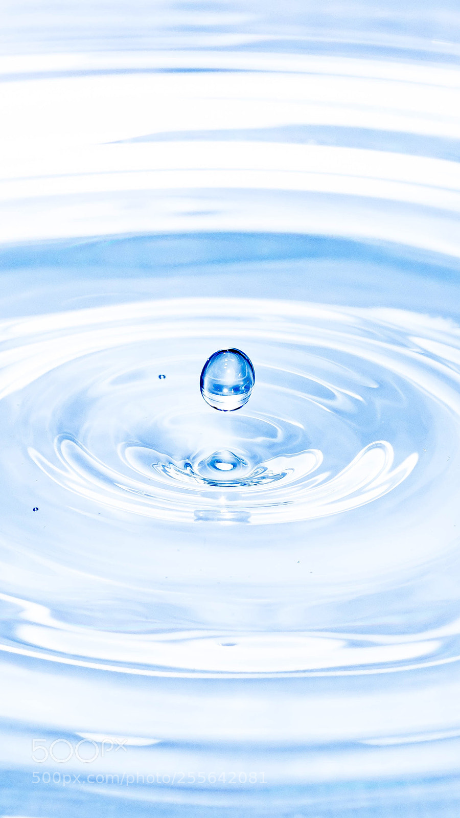 Olympus OM-D E-M1 Mark II sample photo. Drop of water photography