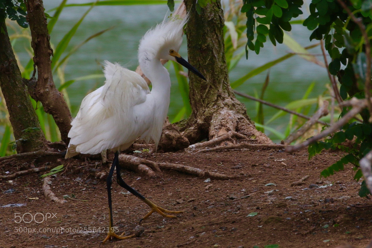 Canon EOS 70D sample photo. Untitled photography
