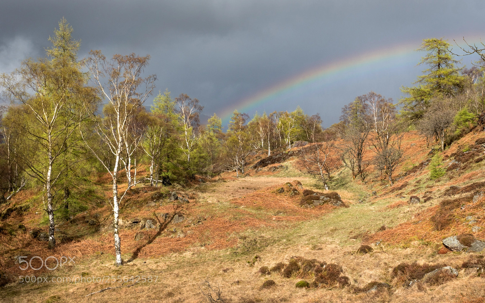 Canon EOS 5D Mark IV sample photo. Rainbow over holme fell photography