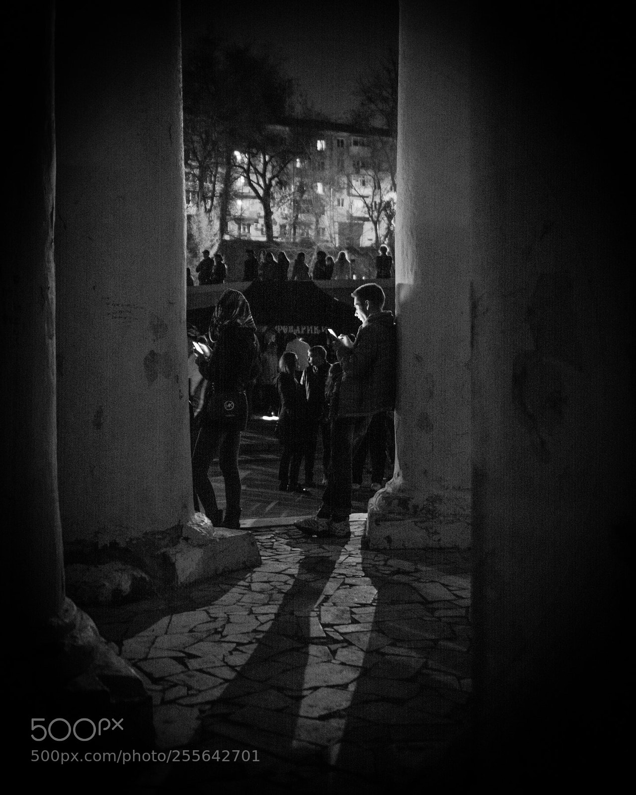 Nikon D7100 sample photo. Untitled photography