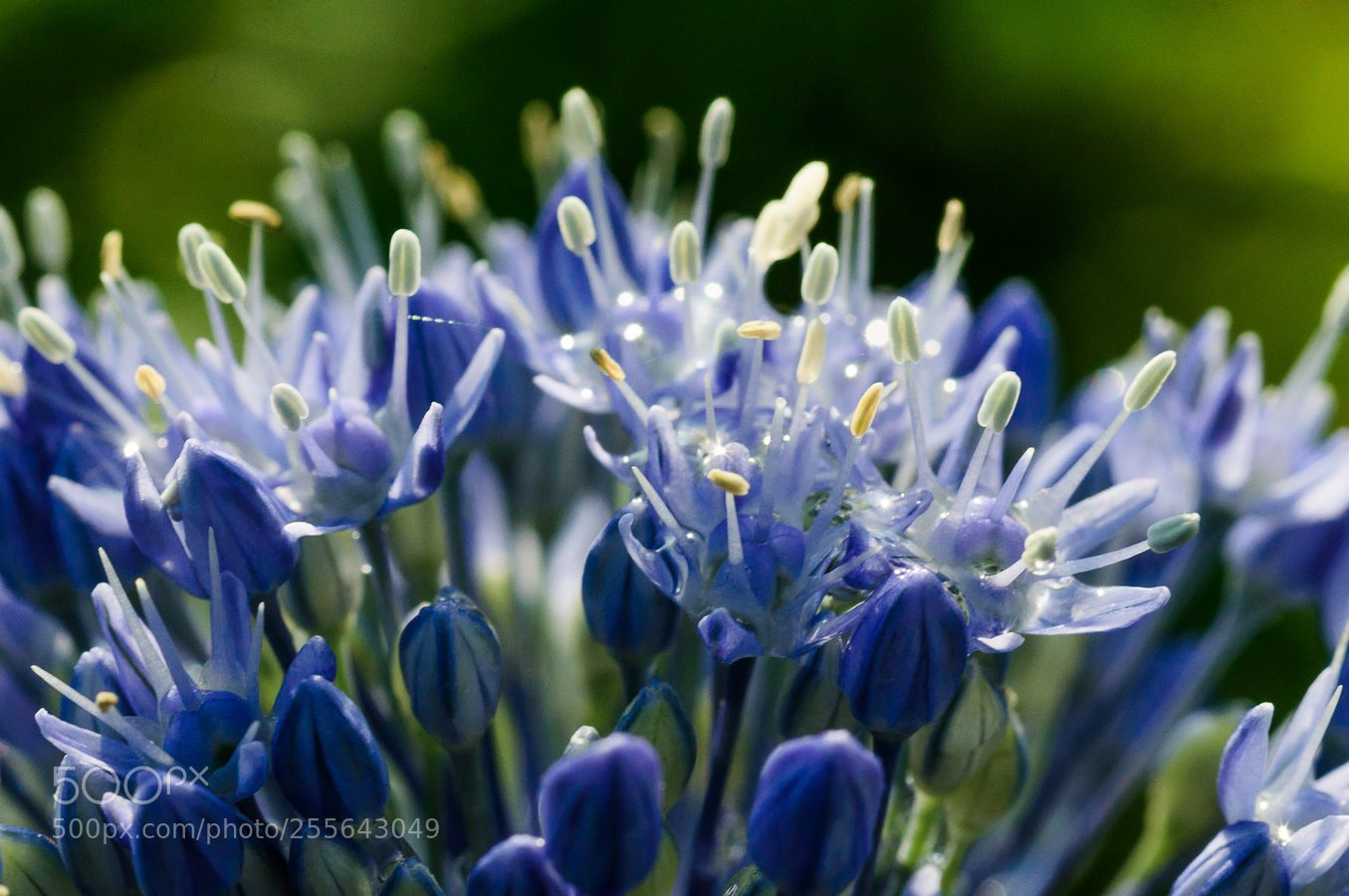 Nikon D90 sample photo. * photography