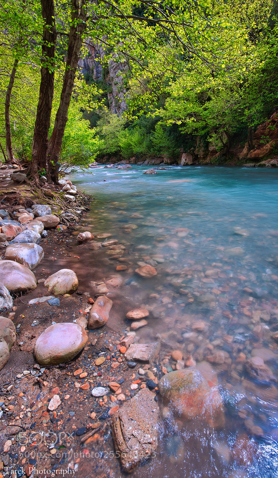 Canon EOS 6D sample photo. Pure freshness photography