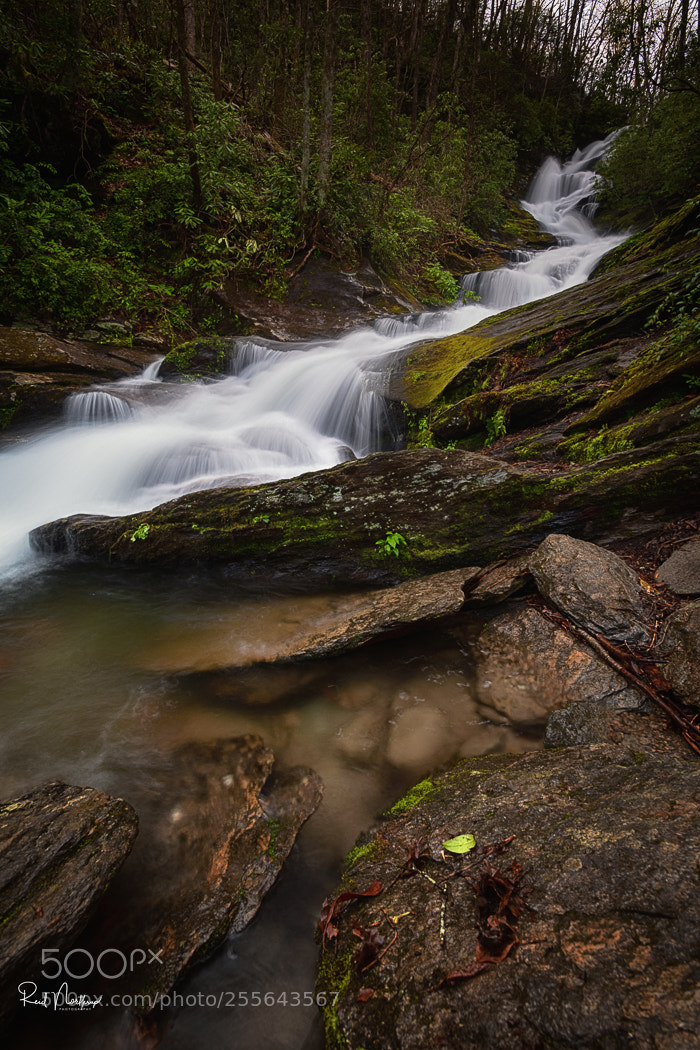 Nikon D850 sample photo. Roaring fork falls photography