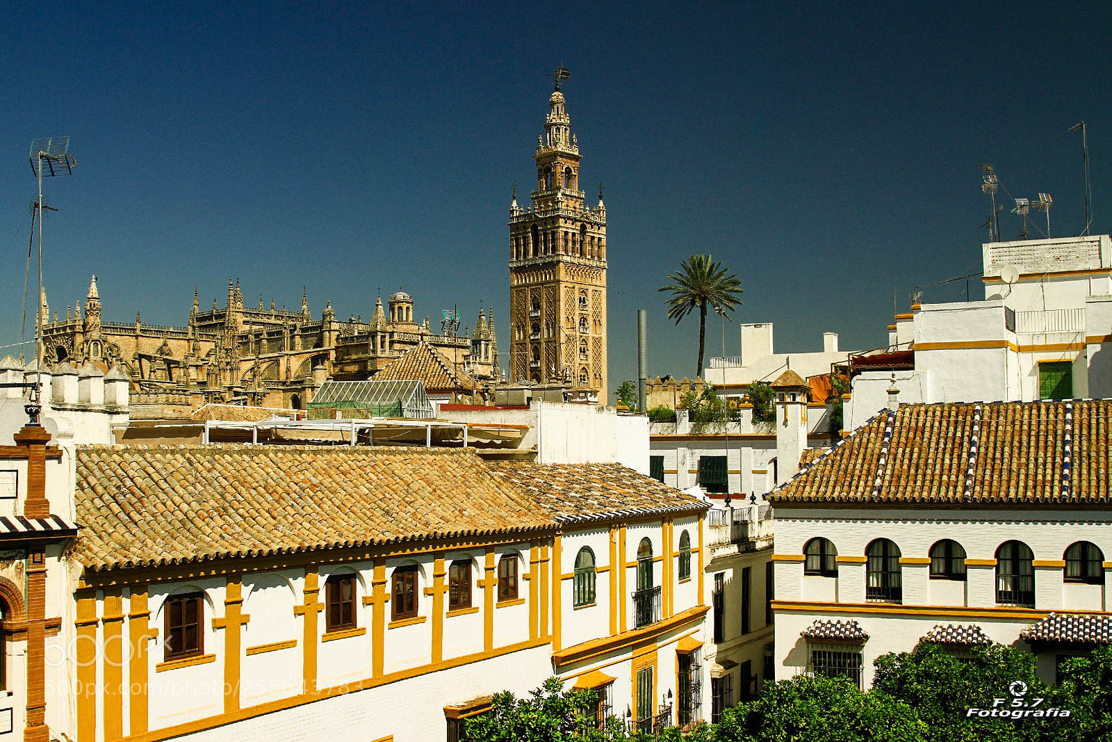Canon EOS 7D sample photo. Catedral de sevilla y photography