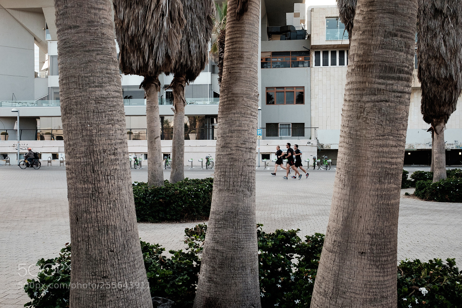 Fujifilm X-T1 sample photo. One two three photography