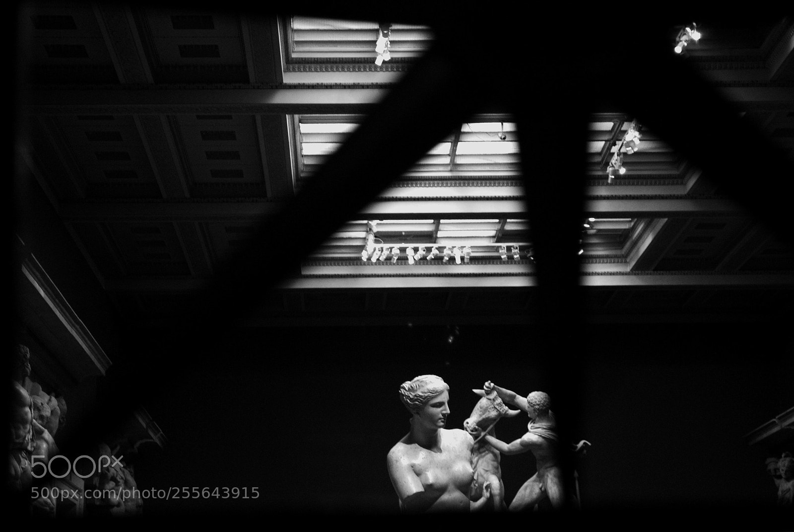 Nikon D3000 sample photo. The frame photography