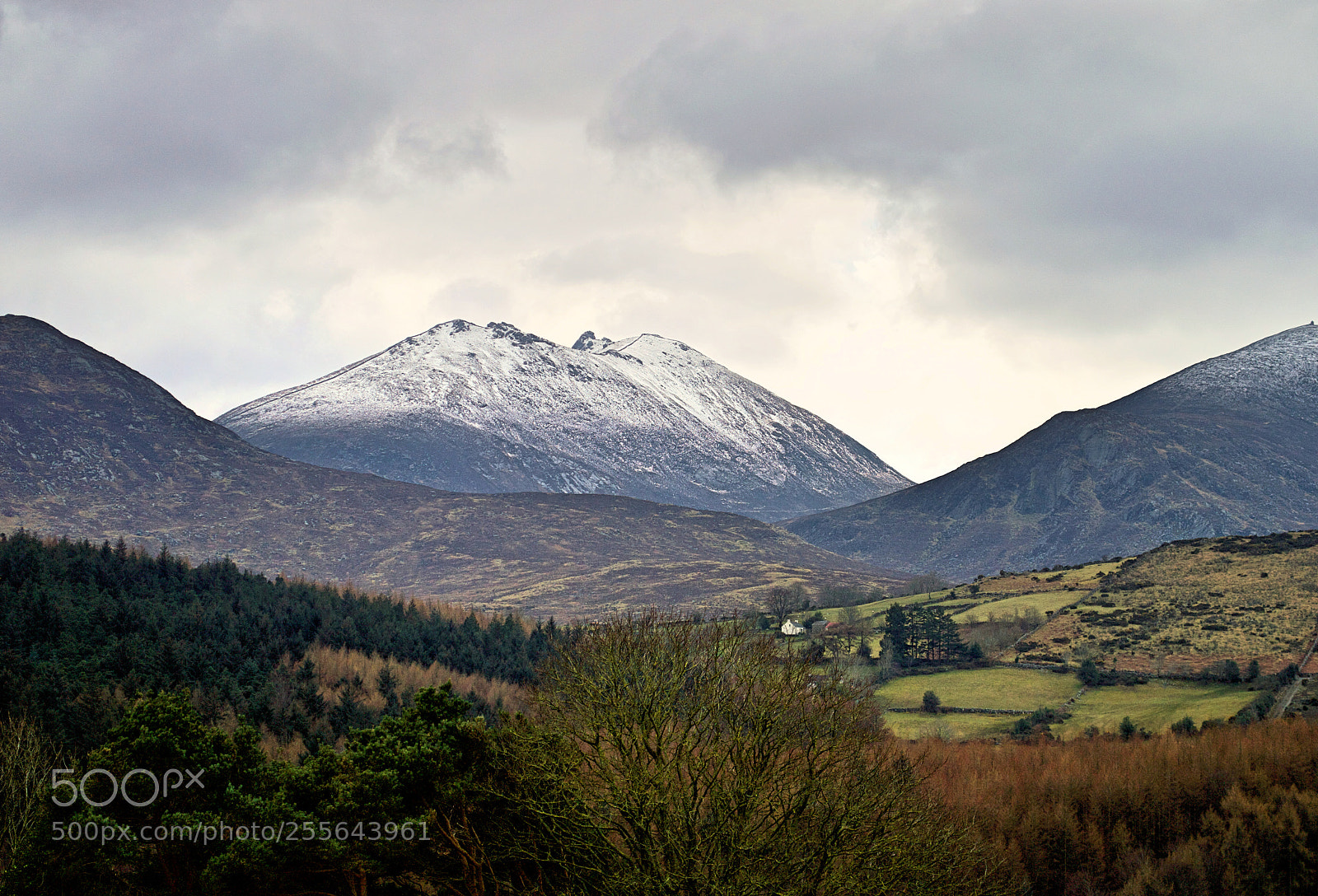 Nikon D3200 sample photo. Mourne mountain photography