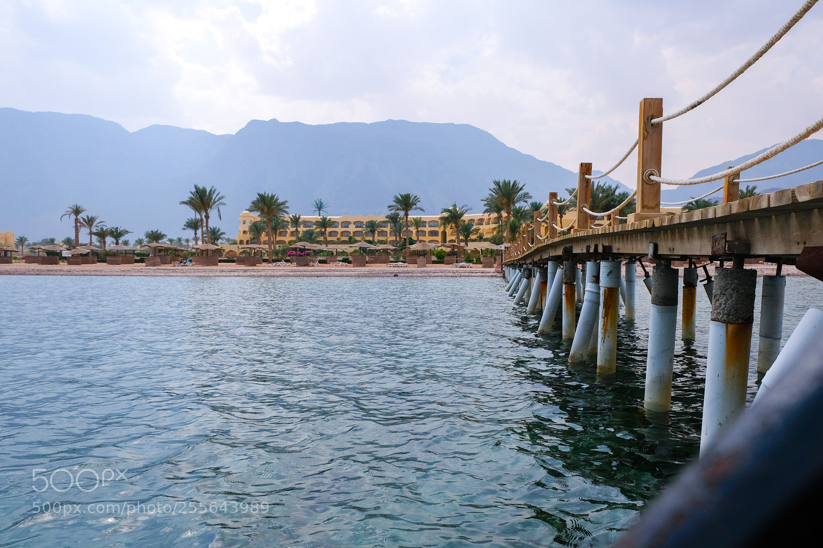 Fujifilm X-T20 sample photo. A mile to swim photography