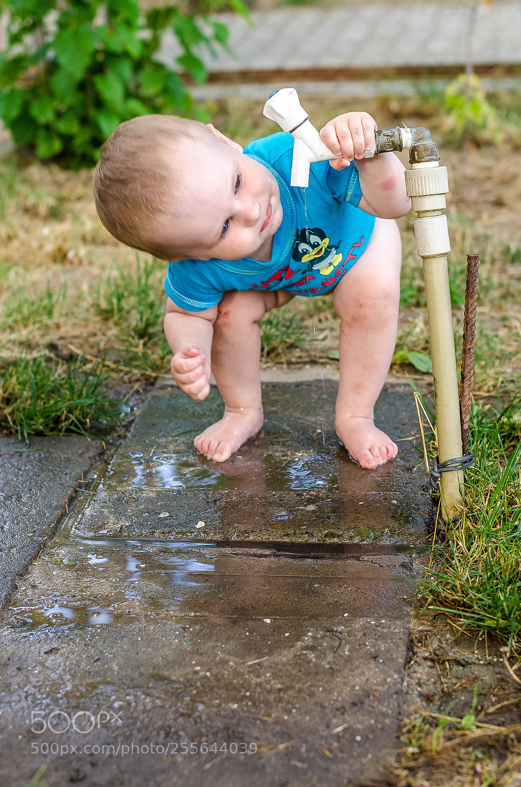 Nikon D5100 sample photo. Наше ВСЁ photography