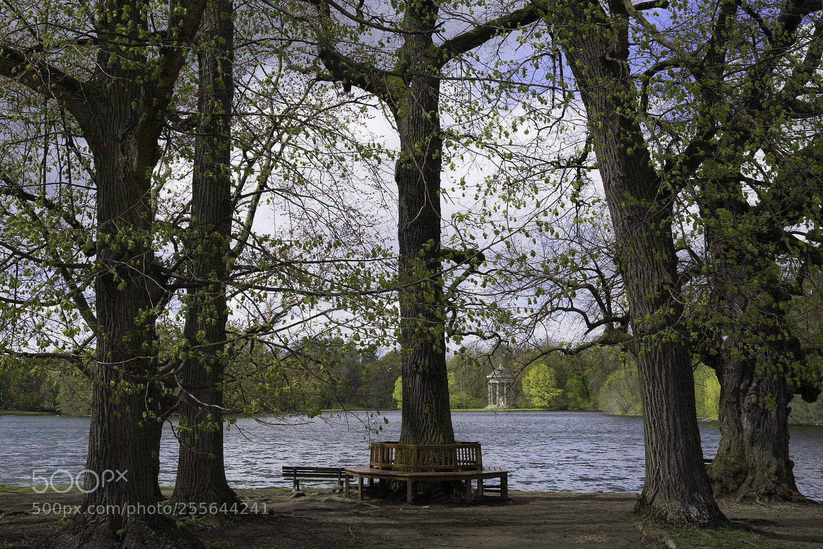 Sony a7 II sample photo. Nymphenburg photography