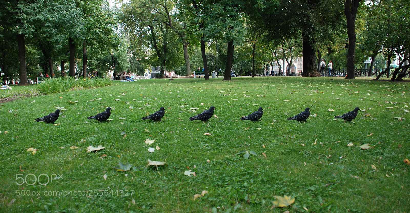 Nikon D80 sample photo. Squad photography