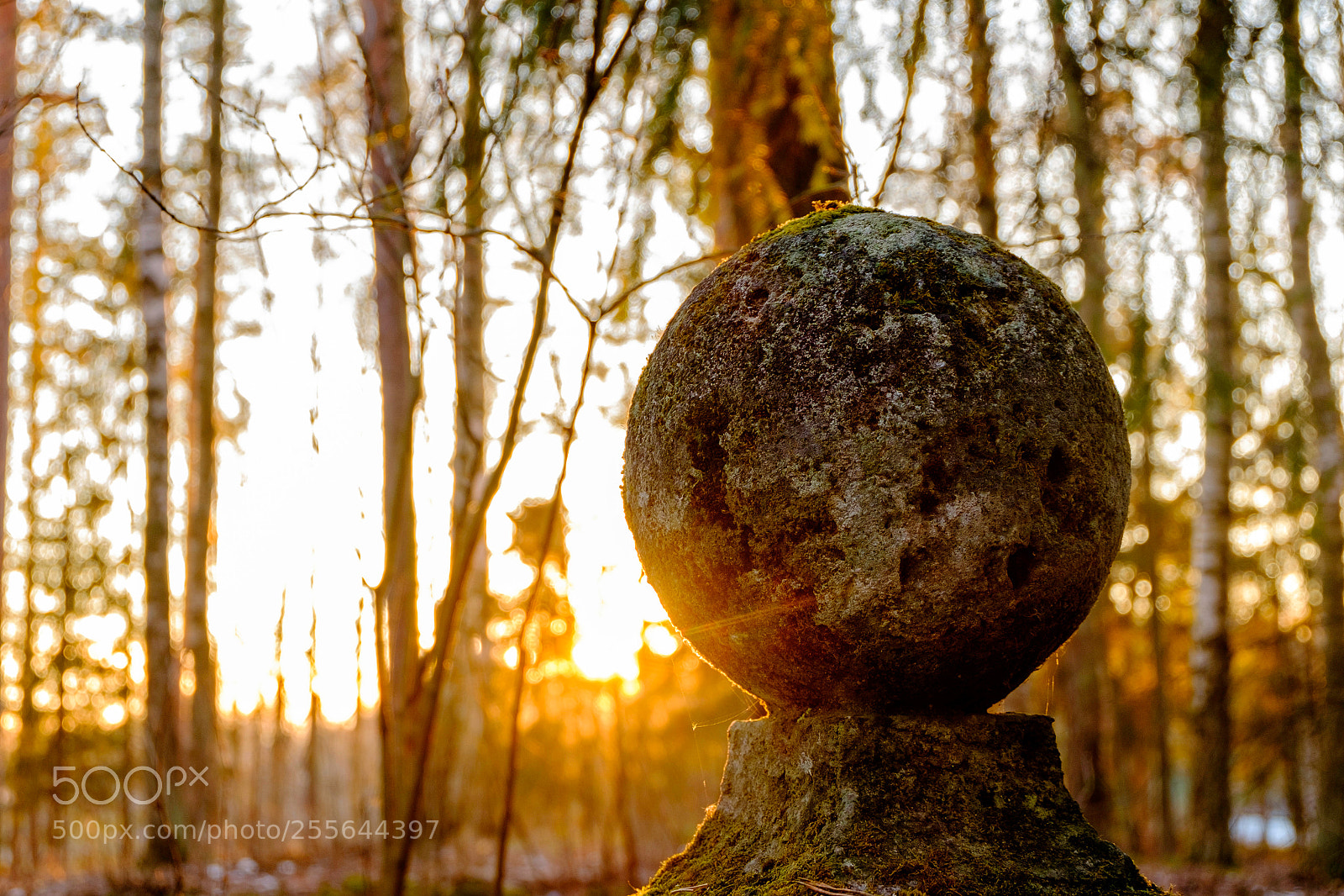 Fujifilm X-T10 sample photo. Sphere of spring photography